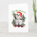 Recherche de shih tzu christmas vœux cartes Chien