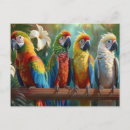 Suche nach lustige papageien postkarten Vogelvogel