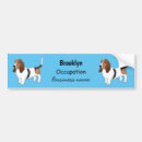 Recherche de petits bassets Race de chien