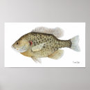 Suche nach crappie poster Bass