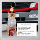 Suche nach coole hüte poster Lustig