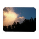 Recherche de nuages magnets Arbres