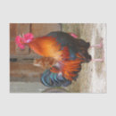 Recherche de rhodies rouges Oiseau