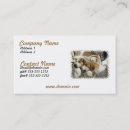 Recherche de chassé cartes visite Chien