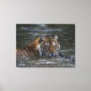 Suche nach tierjagd poster Tiere im wilden