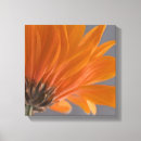Recherche de gerber impressions sur toile Marguerite