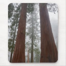 Suche nach riesen mousepads Baum