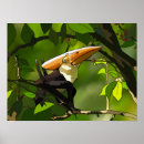 Recherche de crétacé posters Dinosaure