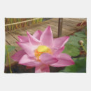 Recherche de lotus cuisine linges Eau