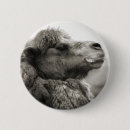 Recherche de chameau badges Animaux