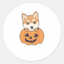 Suche nach shiba inu hund aufkleber Halloween