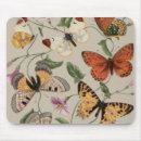 Recherche de dessin papillon tapis souris Mouche