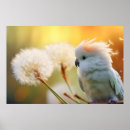 Suche nach niedlicher papagei poster Wild