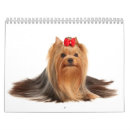 Suche nach yorkshire terrier kalender Haustiere