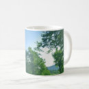 Recherche de vert forêt photographie Arbre