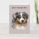 Suche nach australian shepherd karten Australschäfer