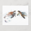 Recherche de turtle cartes postales Vie marine