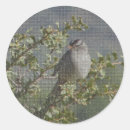 Suche nach birdwatcher Vogelliebhaber