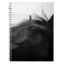 Suche nach schwarzes pferd kleine notizbücher Natur