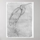 Suche nach study poster Bird
