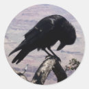 Suche nach trauer aufkleber Vogelvogel