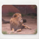 Recherche de roi tapis souris Jungle