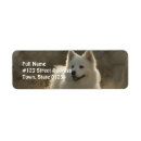 Suche nach samoyed Haustiere