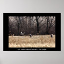 Recherche de whitetail art Buck