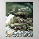 Suche nach bachforelle poster Wasser