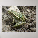 Recherche de for kids photographie Photographie de la nature