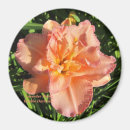 Recherche de dessous de verres magnets Nature