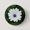 Recherche de fleurs blanches badges Toute personne