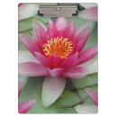 Suche nach lotus klemmbrett Wasserlilie