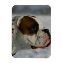 Recherche de profil vœux cartes Tête