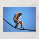 Suche nach seile postkarten Blau