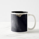 Suche nach satellitenbild tassen Pazifischer ozean