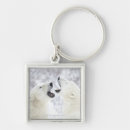 Recherche de neige accessoires Animaux