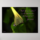 Suche nach rain poster Flower