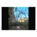 Recherche de le romain photographie Fleurs