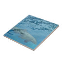 Recherche de dauphins carreaux Aquatique
