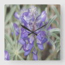 Recherche de fleur pourpre horloges Pour tous