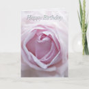 Recherche de beautiful pink rose Floral
