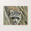 Suche nach waschbär puzzle Tier