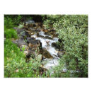 Recherche de ruisseau art Forêt