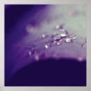 Recherche de sensuele posters Photographie