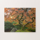 Suche nach ahornbaum puzzle Fall