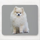Recherche de pom pom tapis souris Chiot