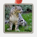 Suche nach schneeleopard ornamente Panthera uncia