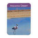 Suche nach atacama magnete Wüste