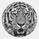 Suche nach schwarzer tiger aufkleber Wildtiere